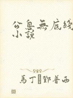 公息无底线的爱小说