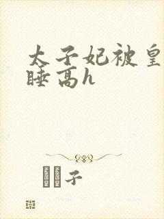 太子妃被皇上强睡高h