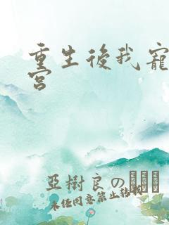 重生后我宠冠东宫