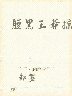 腹黑王爷掠邪妃