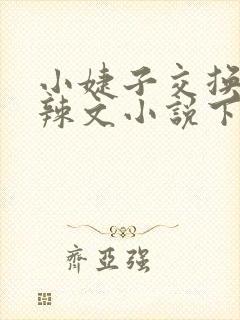 小婕子交换系列辣文小说下载