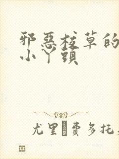 邪恶校草的拽拽小丫头