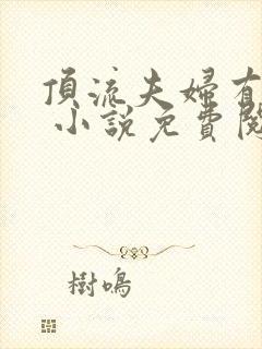 顶流夫妇有点甜 小说免费阅读