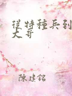 从特种兵到黑道大哥