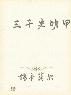 三千光明甲