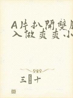 A片扒开双腿进入做爽爽小说