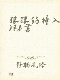 狠狠的撞入(h)秘书