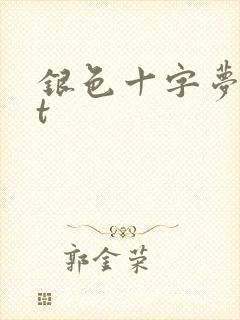 银色十字梦txt