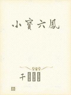 小宝六凤