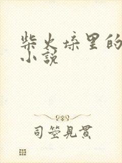 柴火垛里的疯狂小说