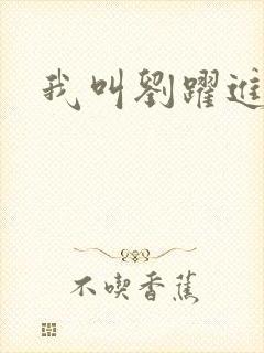 我叫刘跃进下载