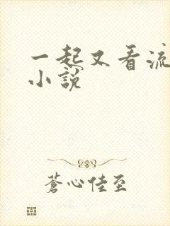 一起又看流星雨小说