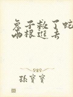 兔子救了蛇被蛇两根进去