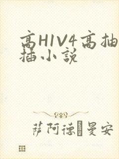 高H1V4高抽插小说