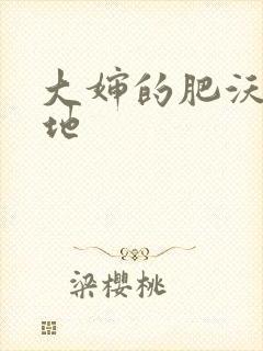 大婶的肥沃的土地