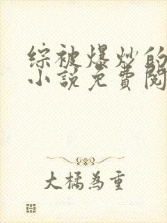 综被爆炒的日常小说免费阅读