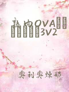 熟肉OVAちゃんはしたい3V2