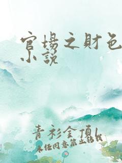 官场之财色诱人小说