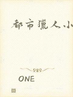 都市猎人小说