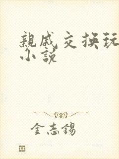 亲戚交换玩美妇小说