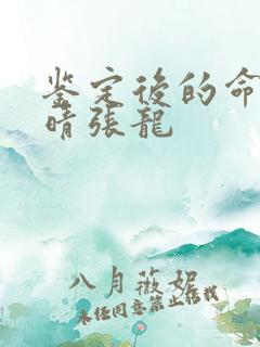 鉴定后的命运周晴张龙