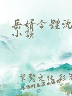 岳婿合体沈绝的小说