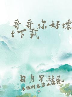 哥哥你好坏txt下载