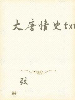 大唐情史txt