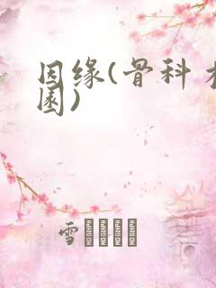 因缘(骨科 校园)