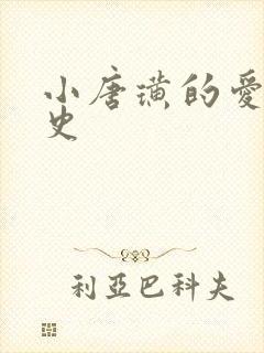 小唐璜的爱情历史