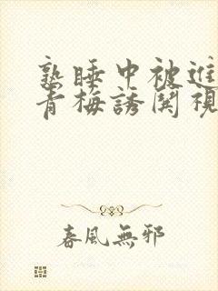 熟睡中被进了H青梅诱哄视频