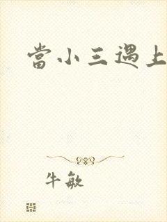 当小三遇上小四