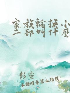 家族轮换小说第二部叫什么名字