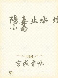 阳春止水 烟树小荞