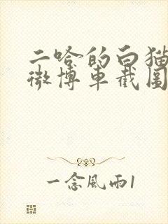 二哈的白猫师尊微博车截图