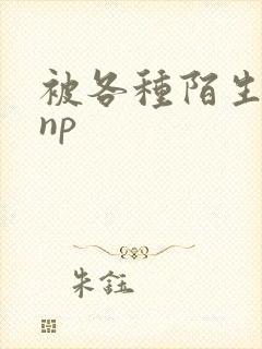 被各种陌生人 np