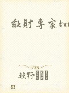 敛财专家txt