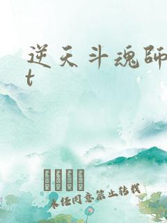 逆天斗魂师txt