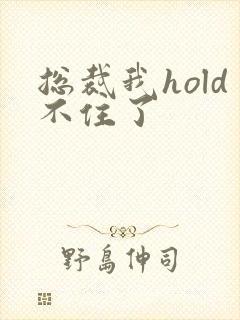 总裁我hold不住了