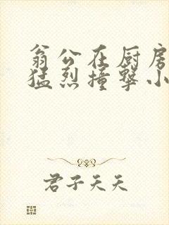 翁公在厨房和我猛烈撞击小说