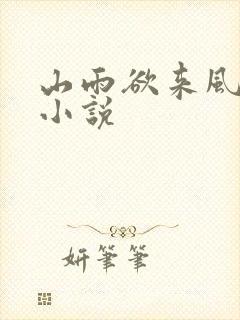 山雨欲来风满楼小说