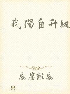 我独自升级小说