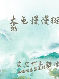 大龟慢慢挺进张燕