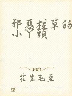 邪恶校草的拽拽小丫头