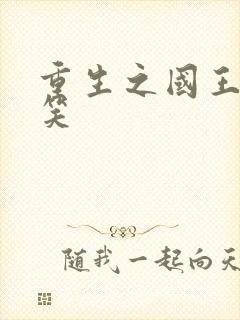 重生之国王的微笑