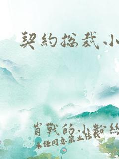 契约总裁小萌宝