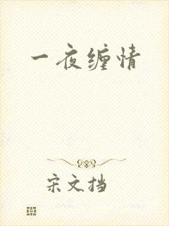 一夜缠情