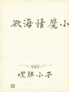欲海情魔小说