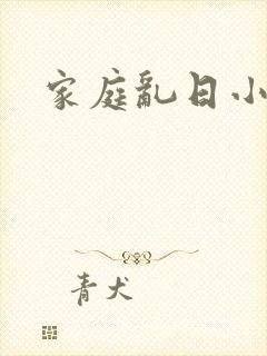 家庭乱日小说
