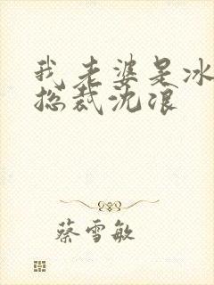 我老婆是冰山女总裁沈浪